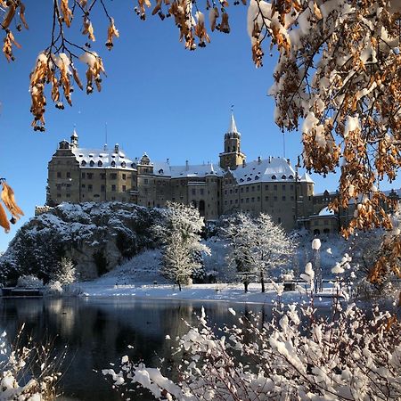 Privatzimmer Leopold Daire Sigmaringen Dış mekan fotoğraf